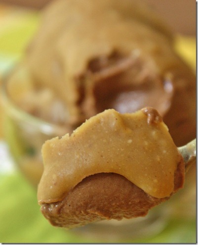 Peanut-Butter-Magic-Shell-scoop