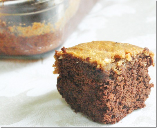 chocolate-peanut-butter-swirl-brownies-slice