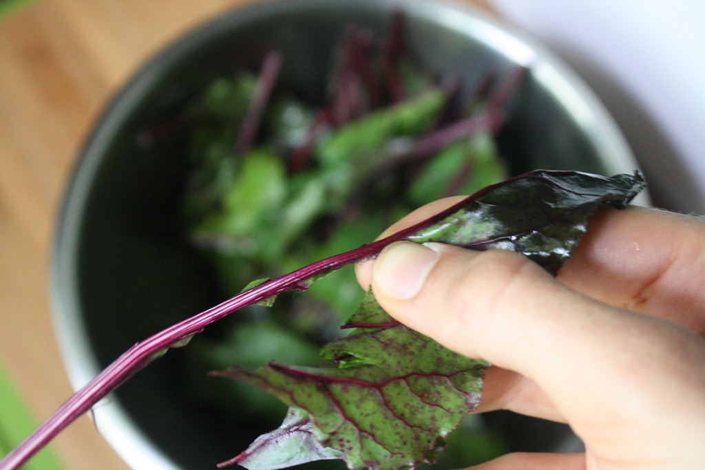 Are radish greens edible?