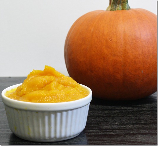 how-to-make-pumpkin-puree-finished-product