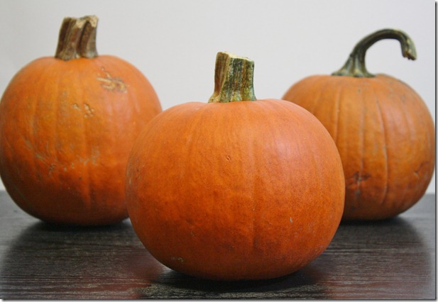 how-to-make-pumpkin-puree-pumpkins