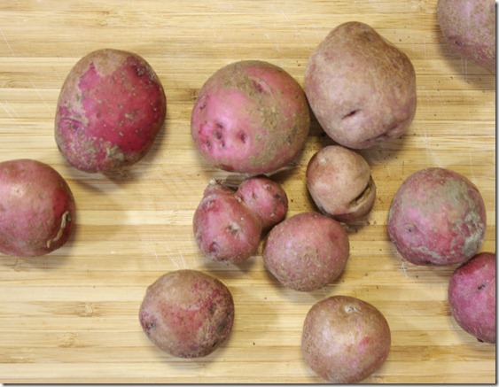 the-best-red-potatoes-raw