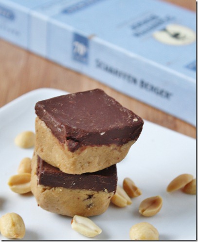 Graham-Cracker-Peanut-Butter-Bars-With-Dark-Chocolate-Ganache-beauty-shot