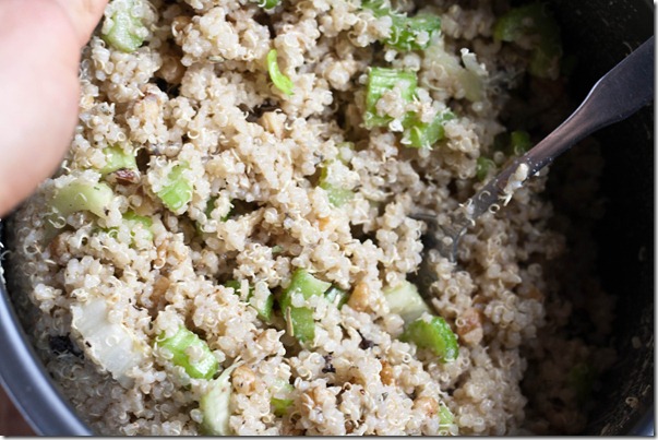 the-amateur-gourmet's-quinoa-converter-mixed