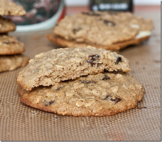 gluten-free-oatmeal-raisin-cookies-close-up