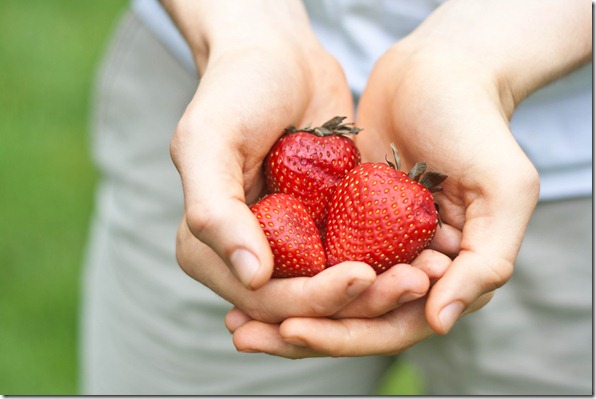 Chocolate-Covered-Strawberries-Hands