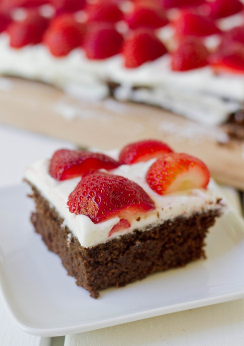 Gluten-Free Chocolate Flag Cake Slice