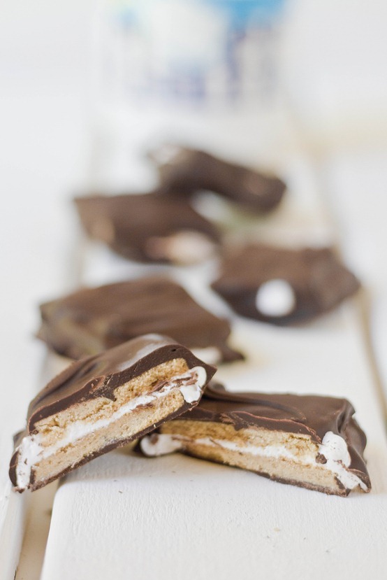 Chocolate Covered S'mores