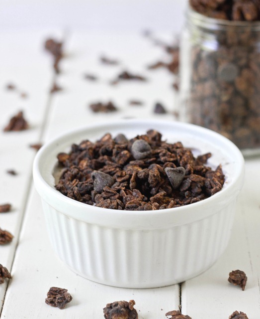 Double Chocolate Granola Serving