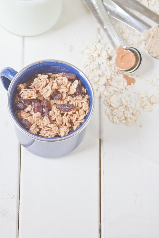 Low-Fat Cinnamon Brown Sugar Granola Serving