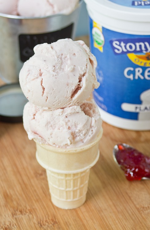 Strawberry Cheesecake Frozen Yogurt Serving