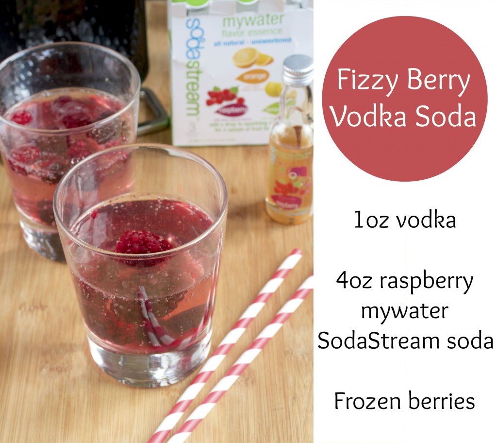 Berry Vodka Soda Recipe